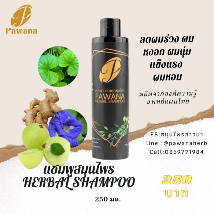 แชมพูสมุนไพร ขนาด 250 มล. ตรา ภาวนา (Pawana) - Image 3