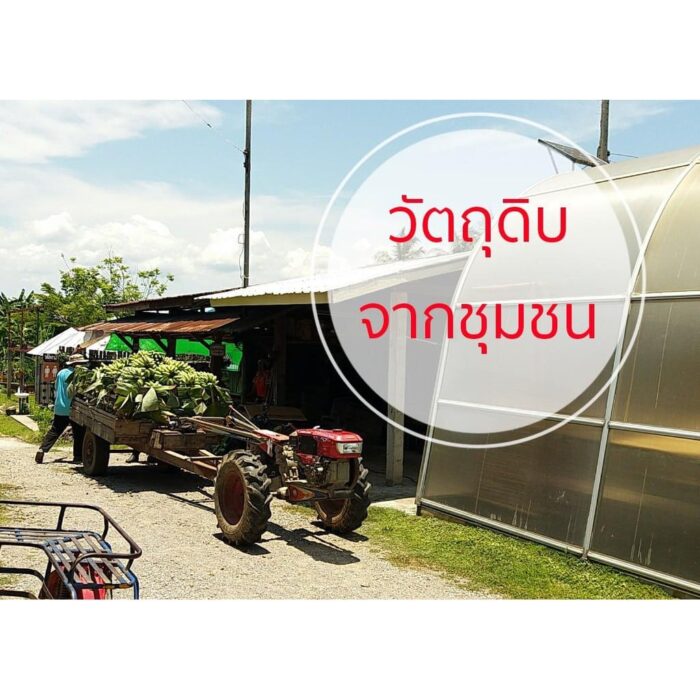 กล้วยหักมุกอบเกลือ สูตรเค็มน้อย ขนาด 230 กรัม ตรา แม่อารักษ์ - รูปภาพ 6