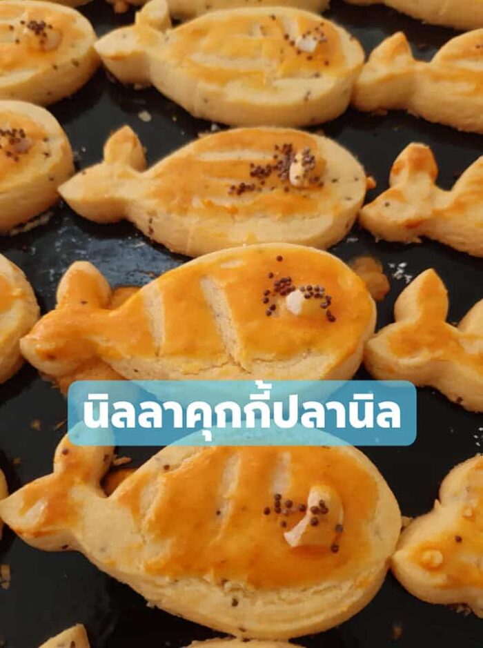 คุกกี้ผสมแคลเซียมก้างปลานิล ตรา Nilla (นิลลา) - รูปภาพ 3