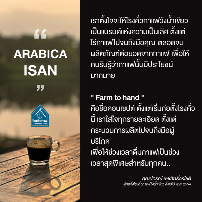 เซ็ตแชมพู (400 ml) และครีมนวดผม (200ml) จากกาแฟ ตรา โรงคั่วกาแฟ - รูปภาพ 4