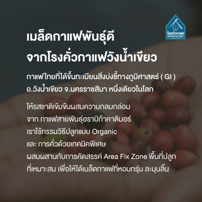 เซ็ตแชมพู (400 ml) และครีมนวดผม (200ml) จากกาแฟ ตรา โรงคั่วกาแฟ - รูปภาพ 6