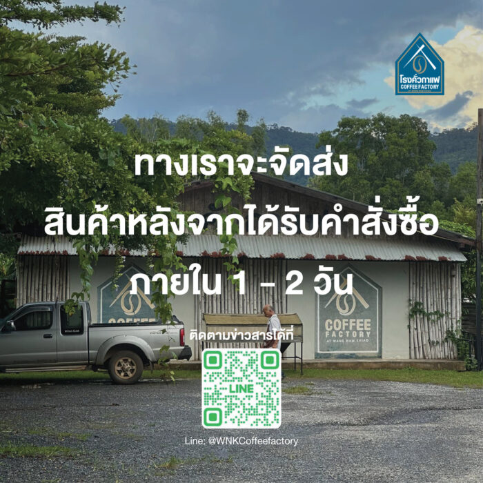 เซ็ตแชมพู (400 ml) และครีมนวดผม (200ml) จากกาแฟ ตรา โรงคั่วกาแฟ - รูปภาพ 7
