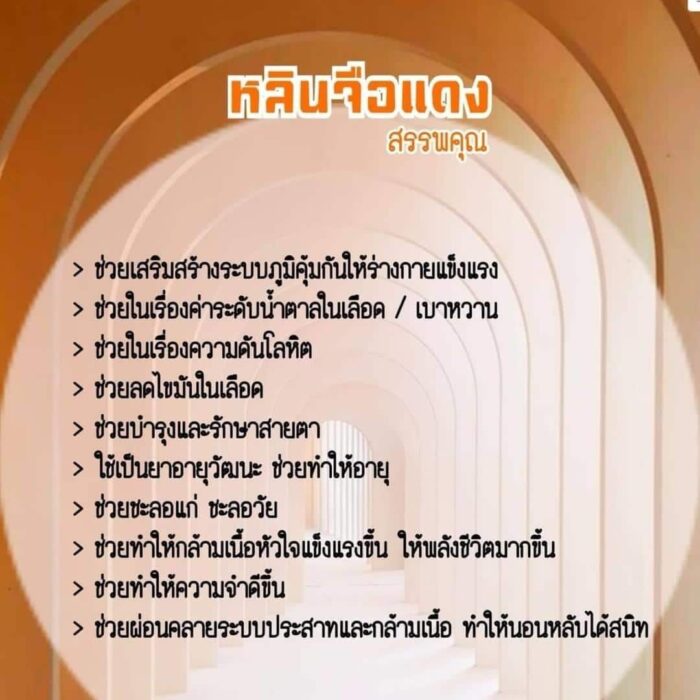 เห็ดหลินจือแดง แคปซูล - รูปภาพ 2