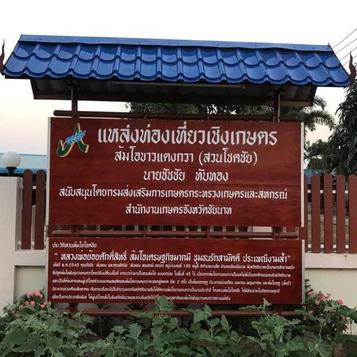 ส้มโอขาวแตงกวาชัยนาท ราคากิโลละ 80 บาท (ไม่รวมค่าส่ง) - รูปภาพ 4