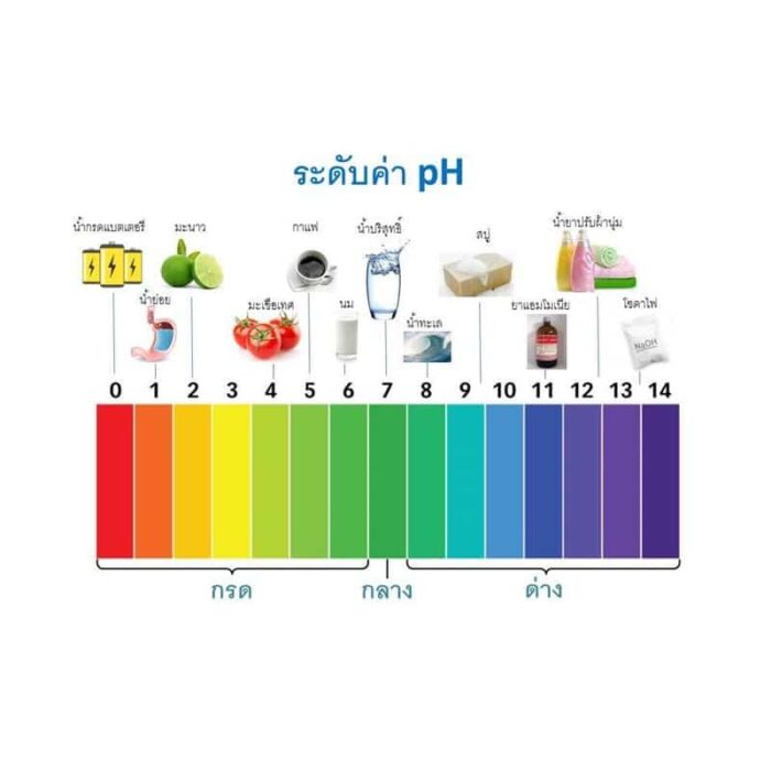 สบู่เหลวสมุนไพร Pluvicol 100ml ตรา พลูวิคอล - รูปภาพ 3