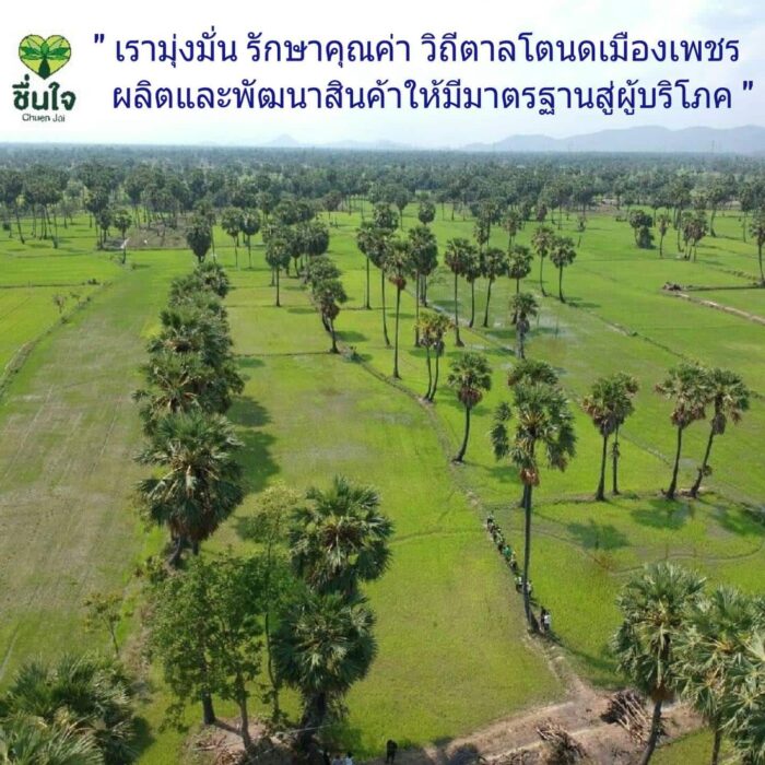 มะยมเชื่อม 1 กิโล ตรา บ้านขนมไทยชื่นใจ - รูปภาพ 4