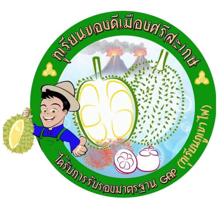 ทุเรียนภูเขาไฟศรีสะเกษ ตรา สกต.ศรีสะเกษ - Image 8