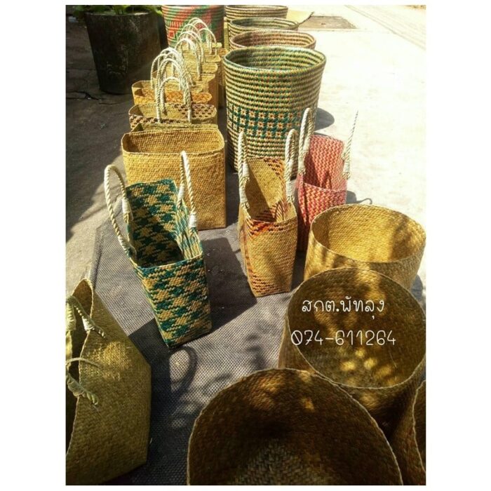 กระจูด ตรา สกต.พัทลุง - Image 2