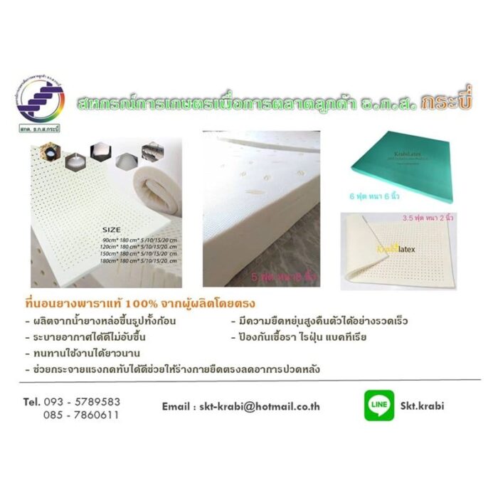 หมอนยางพาราและที่นอนยางพารา - รูปภาพ 2