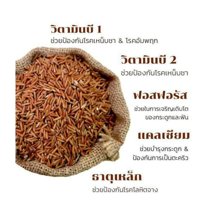 ข้าวสังข์หยดพัทลุง บรรจุ 1 กิโลกรัม ตรา SaBai Everything - Image 4