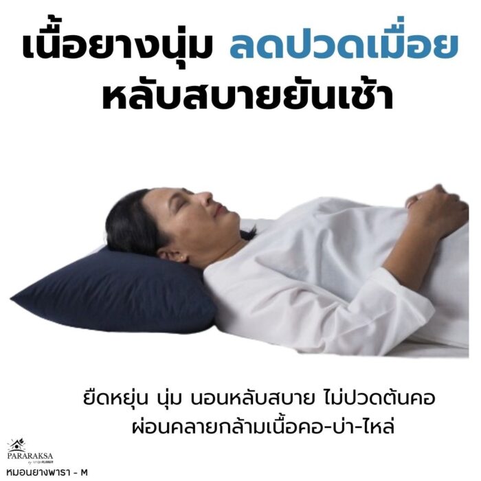 หมอนยางพาราบด ไซส์ M ตรา ParaRuksa - Image 7