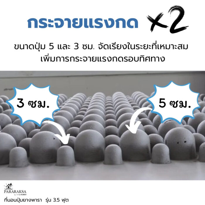 ที่นอนปุ่มยางพารา รุ่น 3.5 ฟุต ตรา ParaRuksa - Image 4